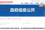 公示！省级示范！石井镇上榜！