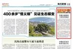 路网升级提质！南安石井纵九路项目施工有序提速
