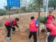 植绿护绿添新色 共建生态美家园
