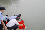 【石井】以鱼养水护生态！113万尾黑鲷鱼苗畅游围头湾