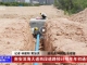 【石井】滨海大道西段道路预计明年年初通车