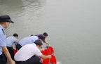 【石井】以鱼养水护生态！113万尾黑鲷鱼苗畅游围头湾