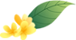 640.jpg
