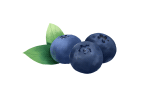 640.jpg